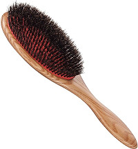  XanitaliaPro Ash Wood Brushes 
