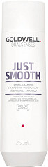  Goldwell Dualsenses Just Smooth Taming Shampoo 250&nbsp;ml 
