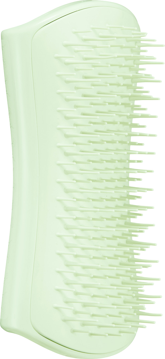  Tangle Teezer Pet Puppy Brush Mint 
