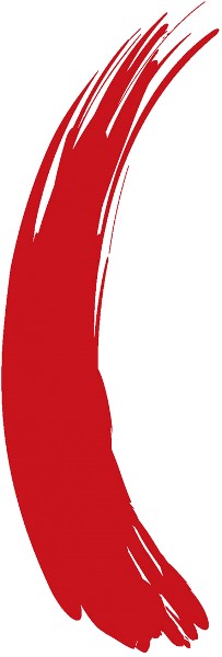  Play Up Hair Mascara red 