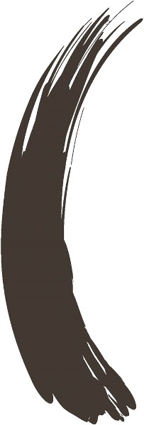  Play Up Hair Mascara dark brown 