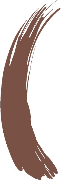  Play Up Mascara Hair 22 chestnut-copper 