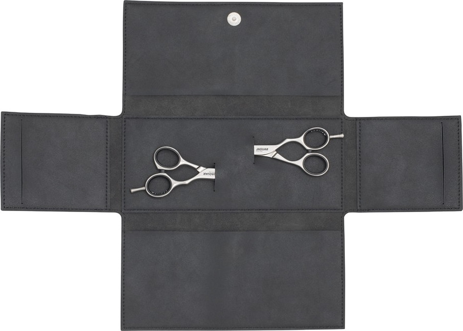  Jaguar Scissors Guard 