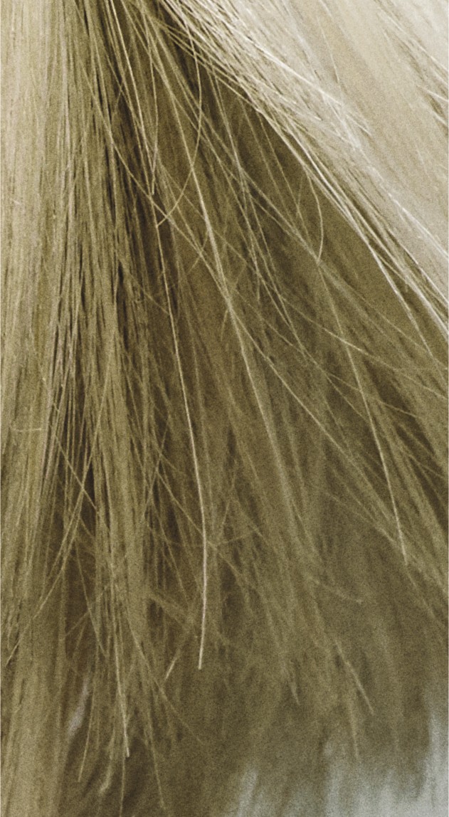  Goldwell Colorance 9MB Jade Blonde 