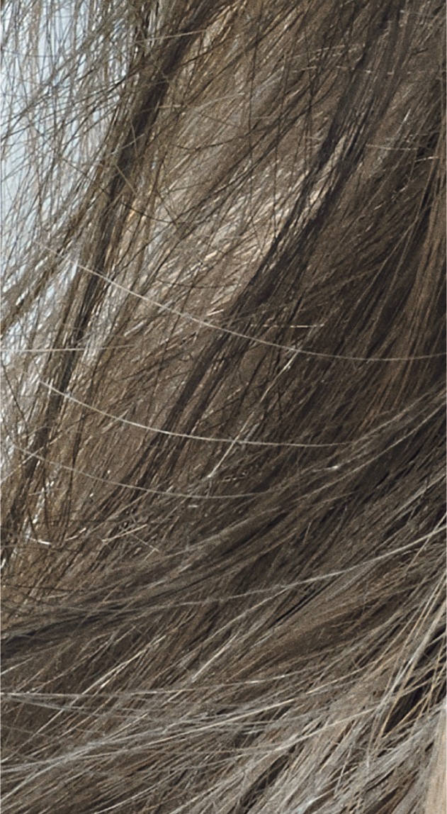  Goldwell Colorance 8CA Cool Ash 