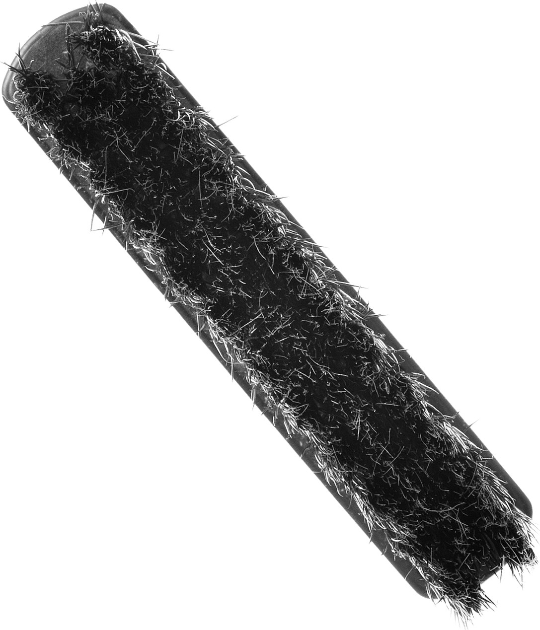  XanitaliaPro Large Color Brush 
